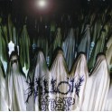 WILLOW WISP - Delusion Of Grandeur: (A Gathering Of Heretics) - CD