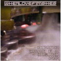 WHENLOVEFINISHES - Destruction Technique Of An Established Order - CD
