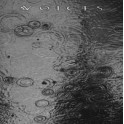 VOICES - From The Human Forest Create A Fugue Of Imaginary Rain - CD