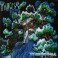 TUMULUS - Winter Wood - CD