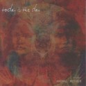 TODAY IS THE DAY - Animal Mother - CD