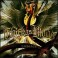 THICK AS BLOOD - Embrace - CD