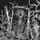 VINNUM SATANAE - The Wine Of Satan - Vol.II - CD Compilation