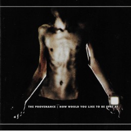 THE PROVENANCE - How Would You Like To Be Spat At - CD