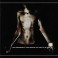 THE PROVENANCE - How Would You Like To Be Spat At - CD