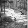 BURZUM - Hvis Lyset Tar Oss - LP Gatefold