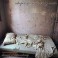 ALGOL /SHROUD OF SPONDENCY - Whispers From an empty room - Split CD