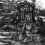 AMNION - Cryptic wanderings - LP