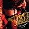 AEROSMITH - ROCKIN' THE JOINT - DUAL DISC