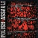POLISH ASSAULT - Compilation - CD