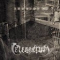 CELEBRATUM - Instinct - CD